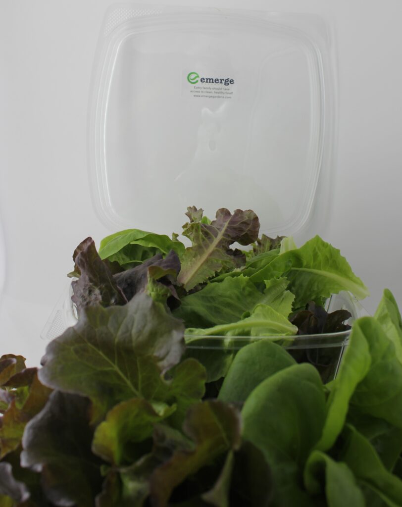 Butter Butter Box Emerge Gardens